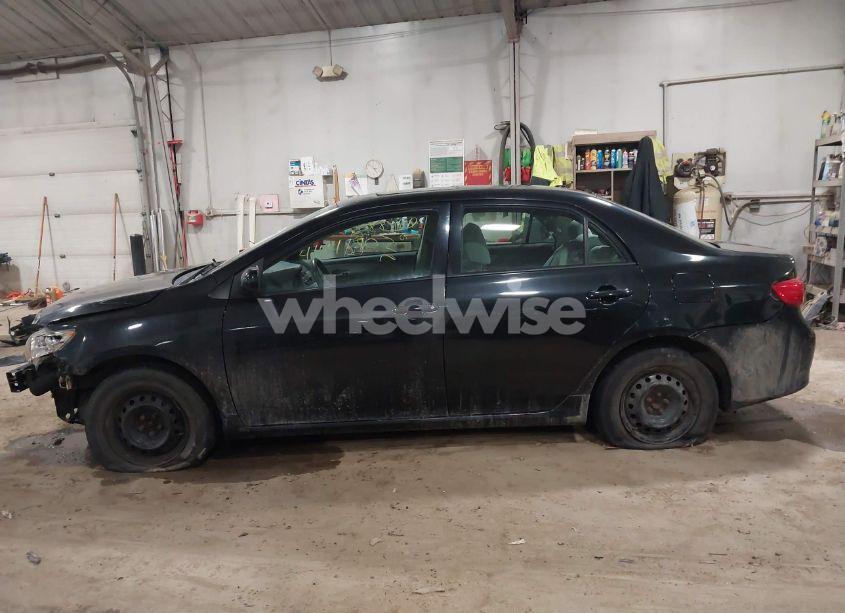 Photo 14 of 2010 Toyota Corolla LE (VIN 1NXBU4EE9AZ332789)