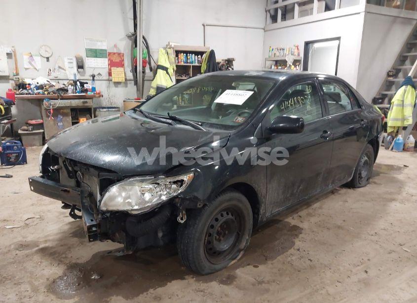 Photo 2 of 2010 Toyota Corolla LE (VIN 1NXBU4EE9AZ332789)