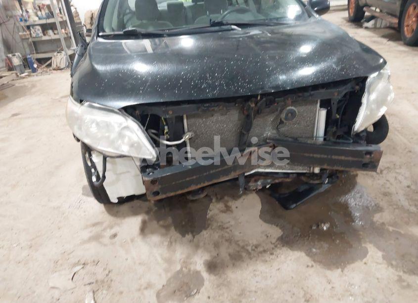 Photo 6 of 2010 Toyota Corolla LE (VIN 1NXBU4EE9AZ332789)