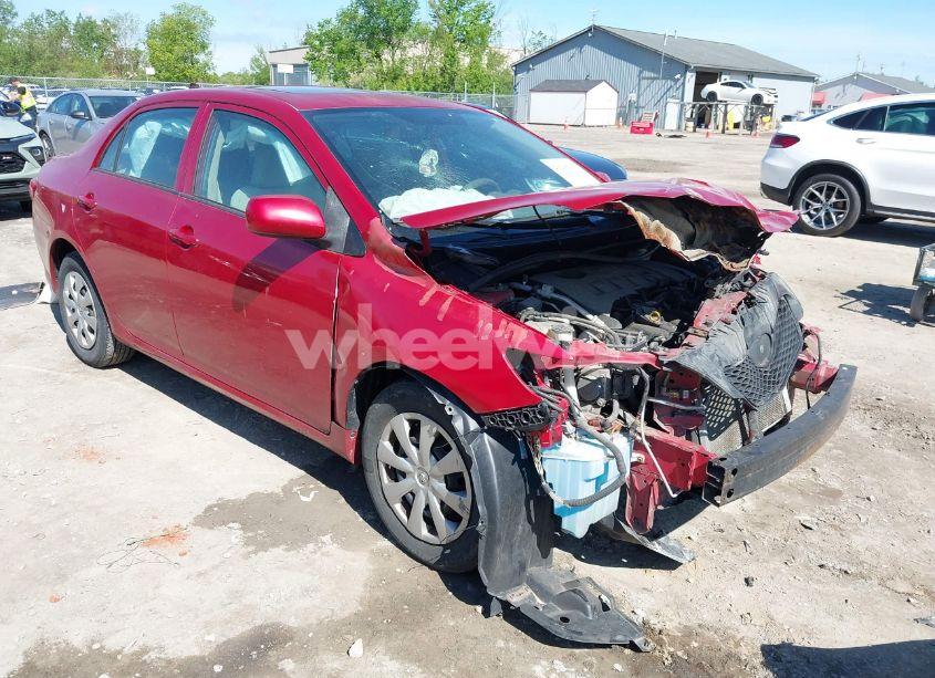 2010 Toyota Corolla LE (VIN 1NXBU4EE9AZ383368) main photo