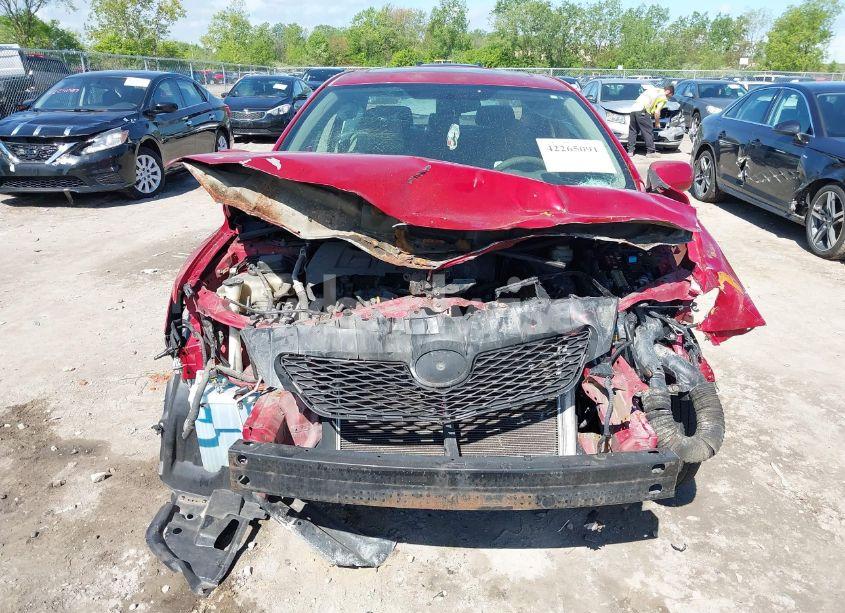 Photo 13 of 2010 Toyota Corolla LE (VIN 1NXBU4EE9AZ383368)