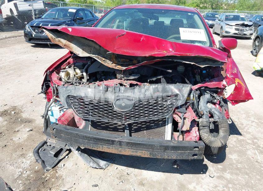 Photo 6 of 2010 Toyota Corolla LE (VIN 1NXBU4EE9AZ383368)