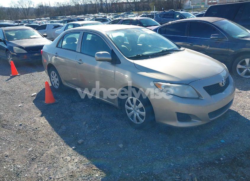 2010 Toyota Corolla LE (VIN 1NXBU4EEXAZ167643) main photo
