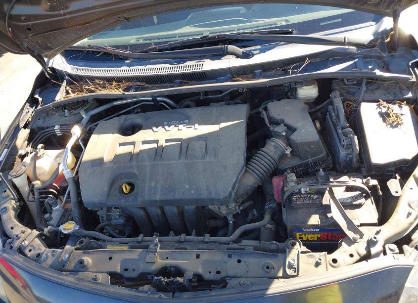 Photo 10 of 2010 Toyota Corolla S (VIN 1NXBU4EEXAZ188864)