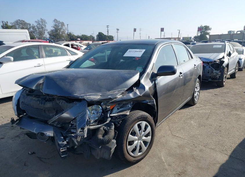 Photo 2 of 2010 Toyota Corolla LE (VIN 1NXBU4EEXAZ193496)