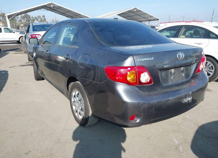 Photo 3 of 2010 Toyota Corolla LE (VIN 1NXBU4EEXAZ193496)