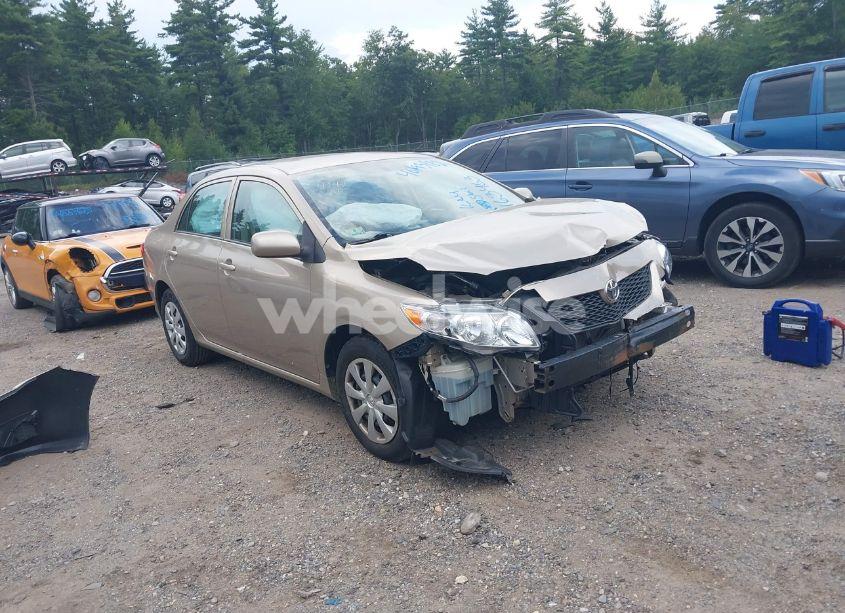 2010 Toyota Corolla LE (VIN 1NXBU4EEXAZ204142) main photo