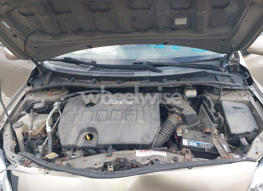 Photo 10 of 2010 Toyota Corolla LE (VIN 1NXBU4EEXAZ204142)