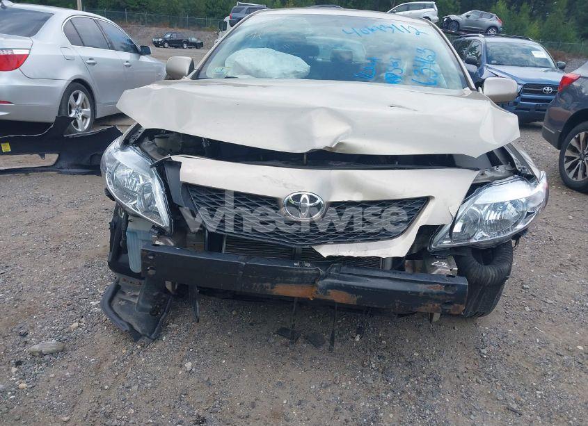 Photo 6 of 2010 Toyota Corolla LE (VIN 1NXBU4EEXAZ204142)