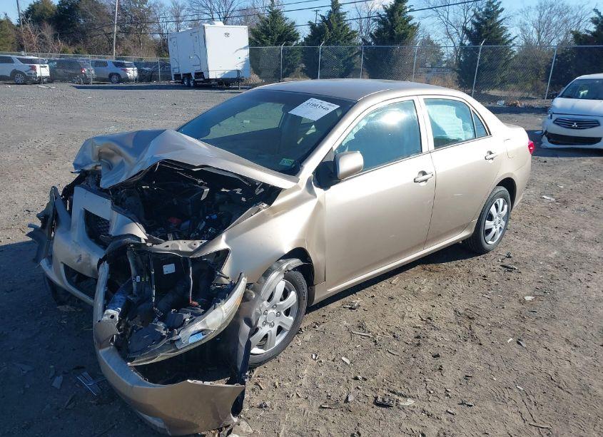 Photo 2 of 2010 Toyota Corolla LE (VIN 1NXBU4EEXAZ207199)