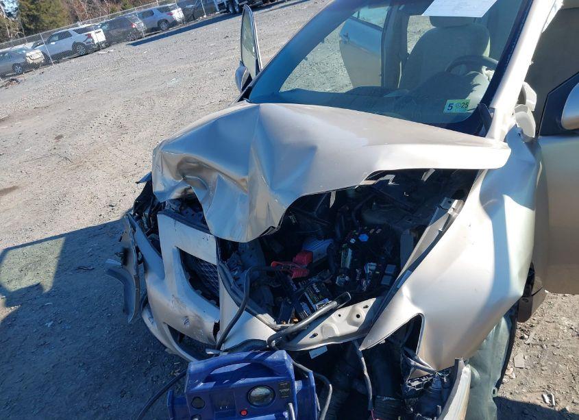 Photo 6 of 2010 Toyota Corolla LE (VIN 1NXBU4EEXAZ207199)