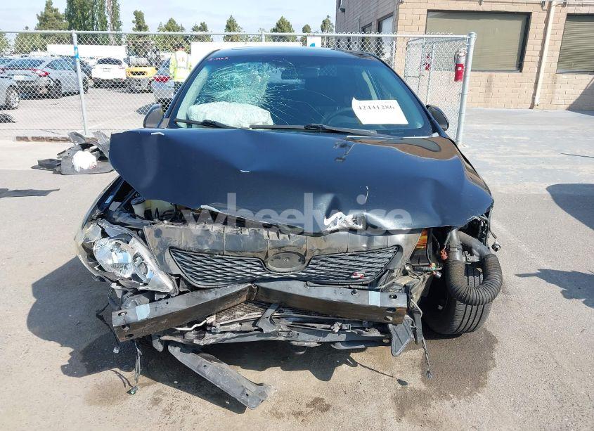 Photo 13 of 2010 Toyota Corolla S (VIN 1NXBU4EEXAZ263577)