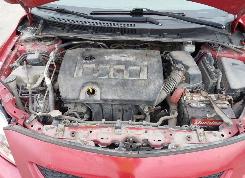 Photo 10 of 2010 Toyota Corolla LE (VIN 1NXBU4EEXAZ273171)