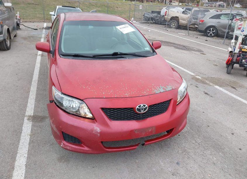 Photo 6 of 2010 Toyota Corolla LE (VIN 1NXBU4EEXAZ273171)