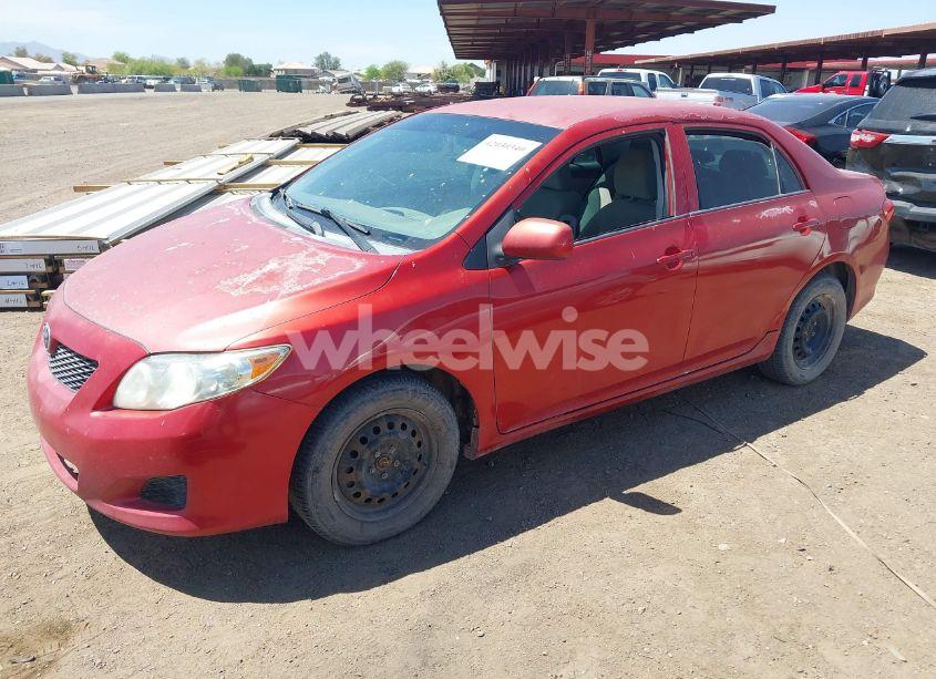 Photo 2 of 2010 Toyota Corolla LE (VIN 1NXBU4EEXAZ327701)