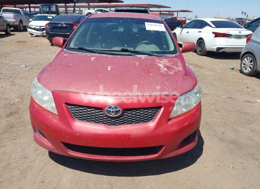 Photo 6 of 2010 Toyota Corolla LE (VIN 1NXBU4EEXAZ327701)