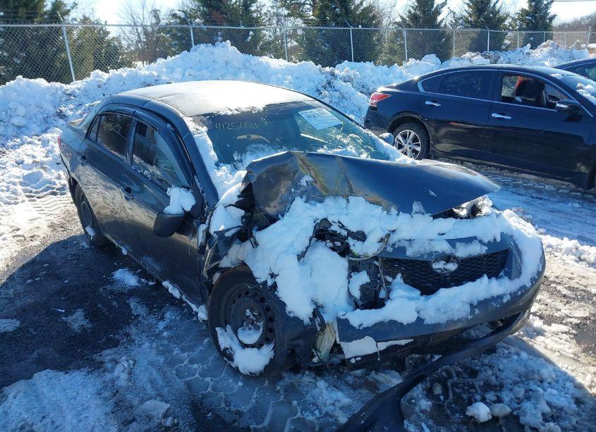 2010 Toyota Corolla LE (VIN 1NXBU4EEXAZ365400) main photo