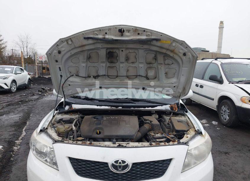 Photo 10 of 2010 Toyota Corolla LE (VIN 1NXBU4EEXAZ366725)