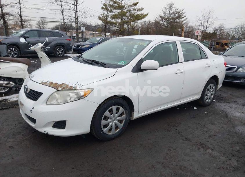 Photo 2 of 2010 Toyota Corolla LE (VIN 1NXBU4EEXAZ366725)