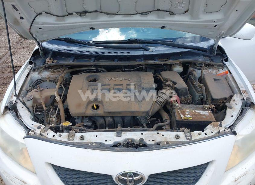 Photo 10 of 2010 Toyota Corolla LE (VIN 1NXBU4EEXAZ366790)