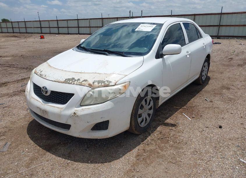 Photo 2 of 2010 Toyota Corolla LE (VIN 1NXBU4EEXAZ366790)
