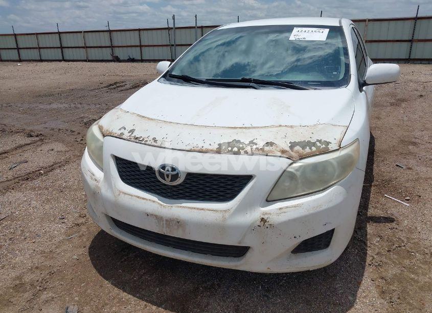 Photo 6 of 2010 Toyota Corolla LE (VIN 1NXBU4EEXAZ366790)