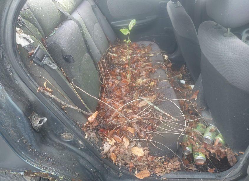 Photo 8 of 2001 Plymouth Neon HIGHLINE (VIN 1P3ES46C31D107014)