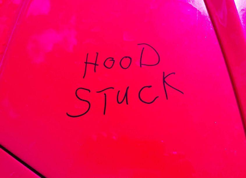 Photo 10 of 1978 Chevrolet Camaro (VIN 1Q87L8N535077)