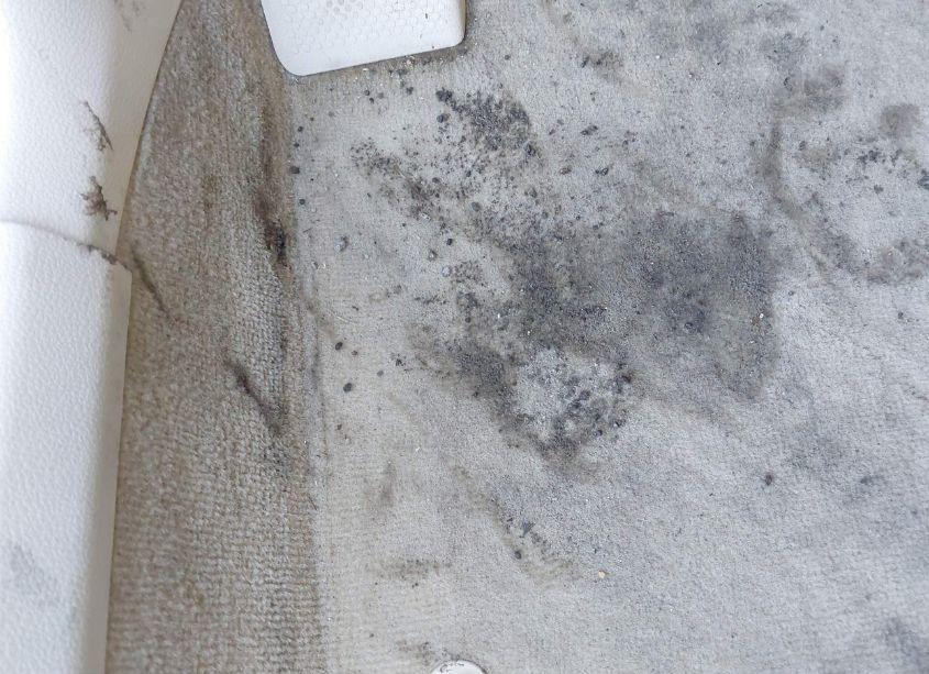 Photo 6 of 2014 Volkswagen Passat 1.8T WOLFSBURG EDITION (VIN 1VWAT7A33EC058264)