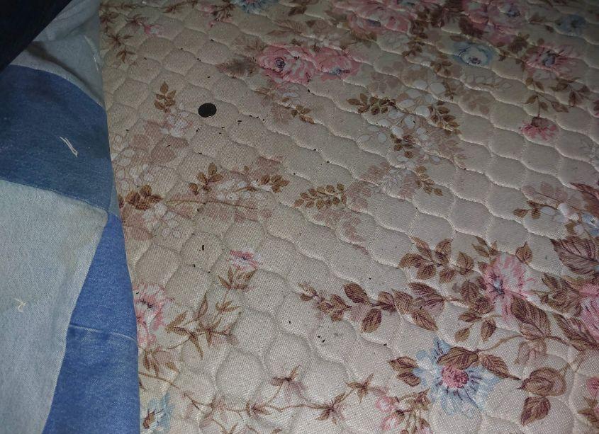 Photo 13 of 1993 Peterbilt 379 N/A (VIN 1XP5DB9X0PN330528)