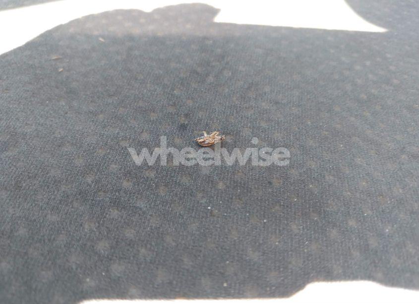 Photo 12 of 2007 Mazda Mazda6 I SPORT VE (VIN 1YVHP80C275M47699)