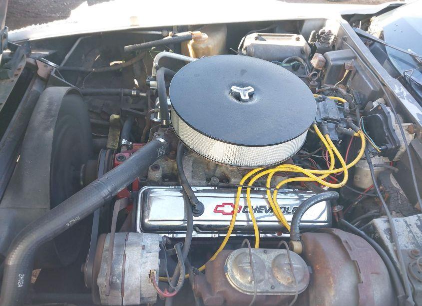 Photo 10 of 1977 Chevrolet Corvette (VIN 1Z37L7S400077)