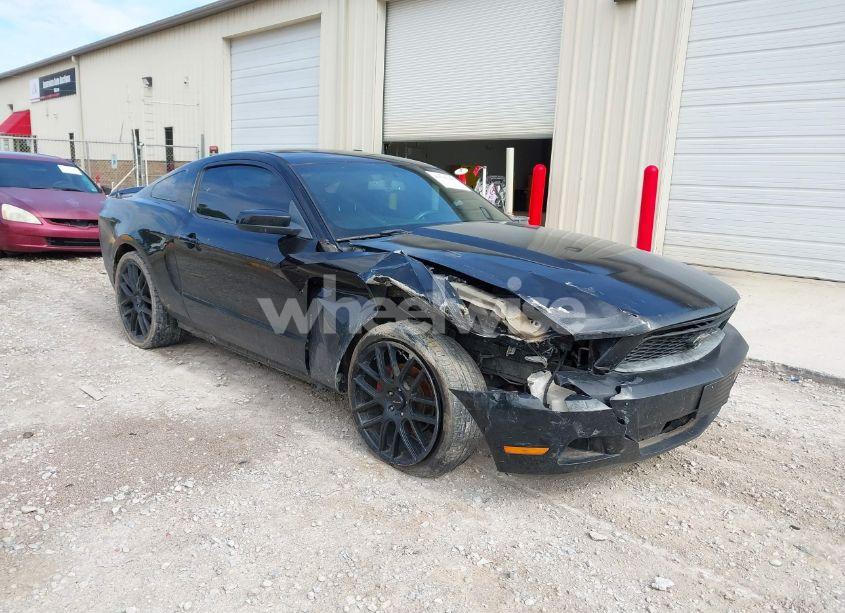2011 Ford Mustang V6 PREMIUM (VIN 1ZVBP8AM0B5135258) main photo