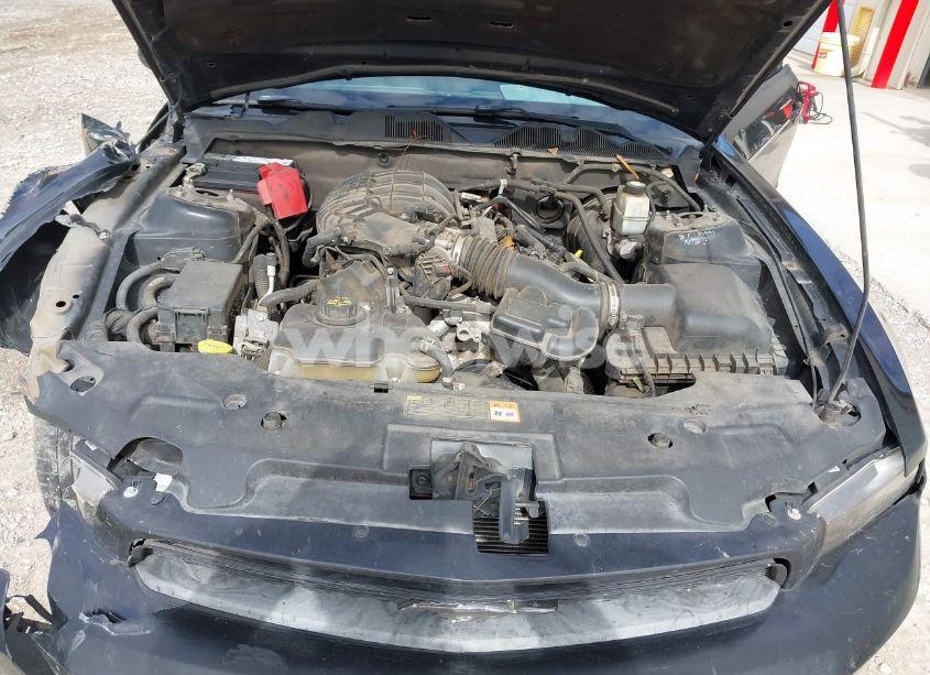 Photo 10 of 2011 Ford Mustang V6 PREMIUM (VIN 1ZVBP8AM0B5135258)