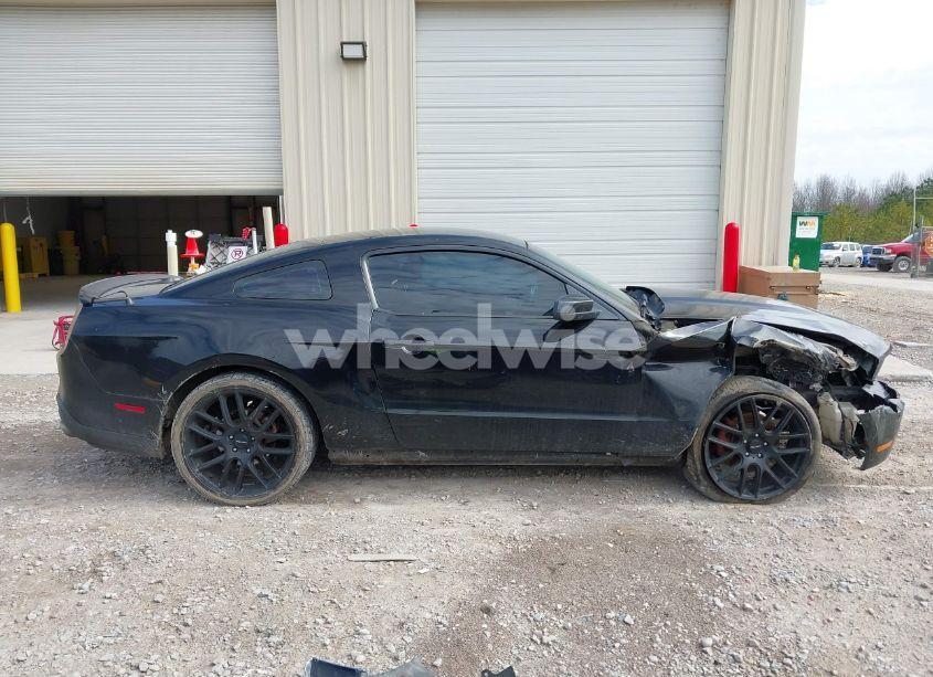 Photo 13 of 2011 Ford Mustang V6 PREMIUM (VIN 1ZVBP8AM0B5135258)