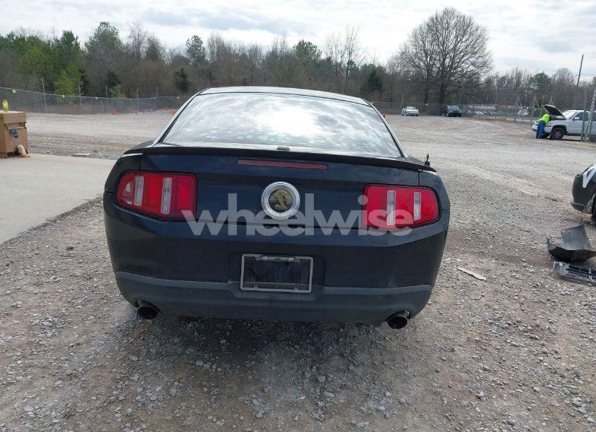 Photo 16 of 2011 Ford Mustang V6 PREMIUM (VIN 1ZVBP8AM0B5135258)