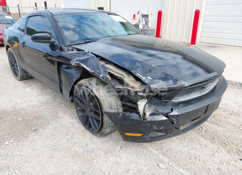 Photo 6 of 2011 Ford Mustang V6 PREMIUM (VIN 1ZVBP8AM0B5135258)