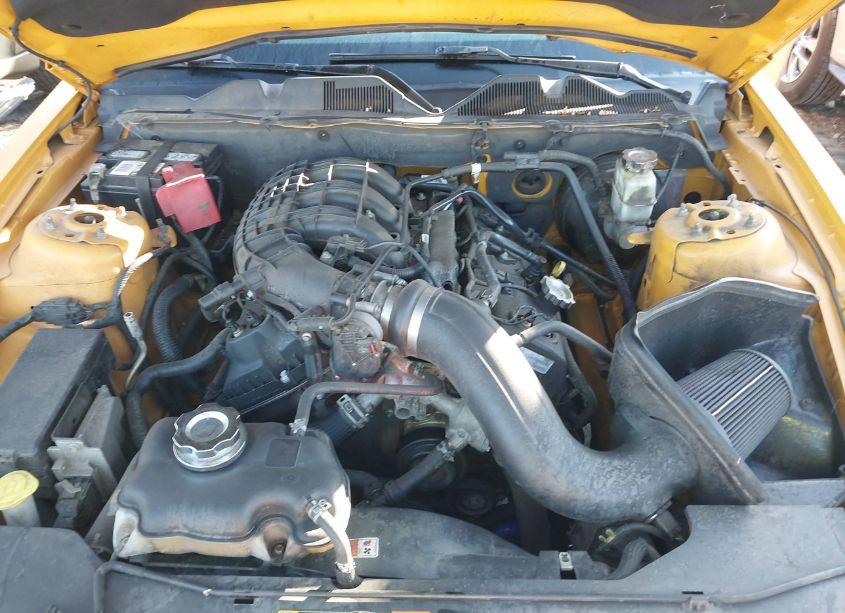 Photo 10 of 2011 Ford Mustang V6 PREMIUM (VIN 1ZVBP8AM0B5155834)