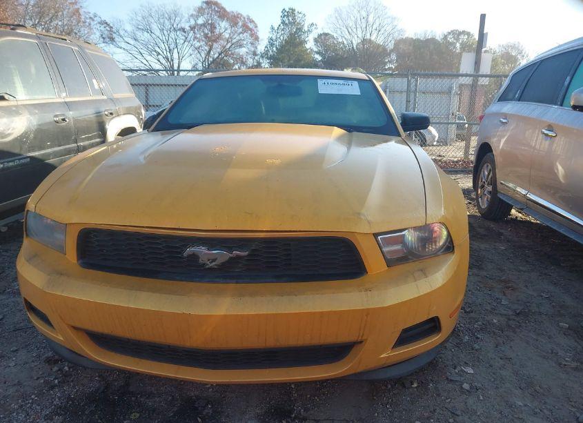 Photo 12 of 2011 Ford Mustang V6 PREMIUM (VIN 1ZVBP8AM0B5155834)
