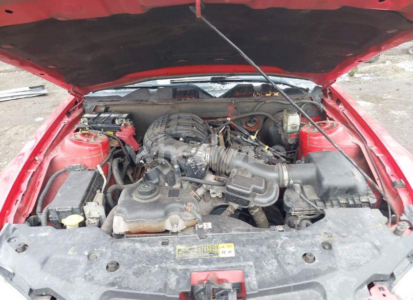 Photo 10 of 2011 Ford Mustang V6 (VIN 1ZVBP8AM0B5168986)