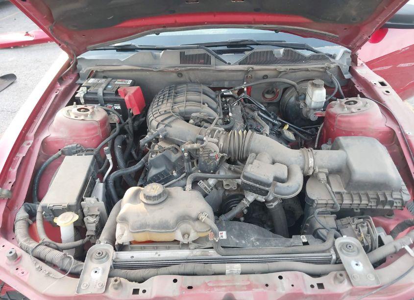 Photo 10 of 2012 Ford Mustang V6 (VIN 1ZVBP8AM0C5216715)