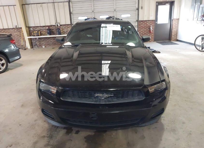 Photo 12 of 2012 Ford Mustang V6 (VIN 1ZVBP8AM0C5244319)