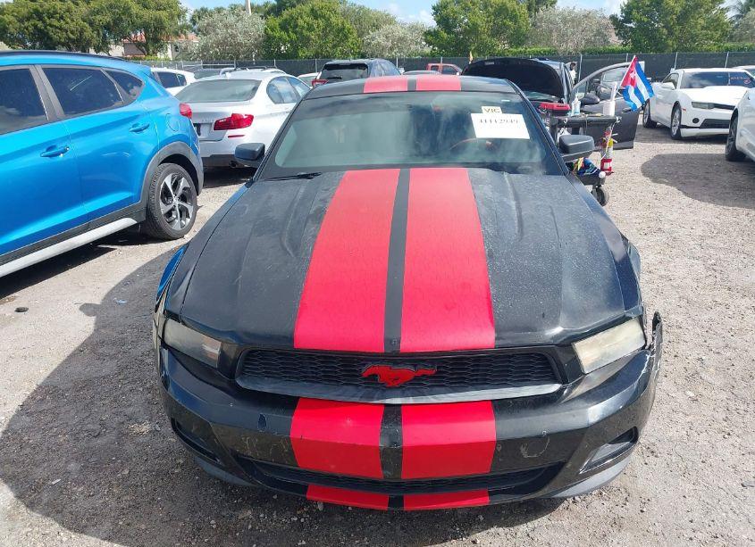 Photo 12 of 2012 Ford Mustang V6 (VIN 1ZVBP8AM0C5258494)