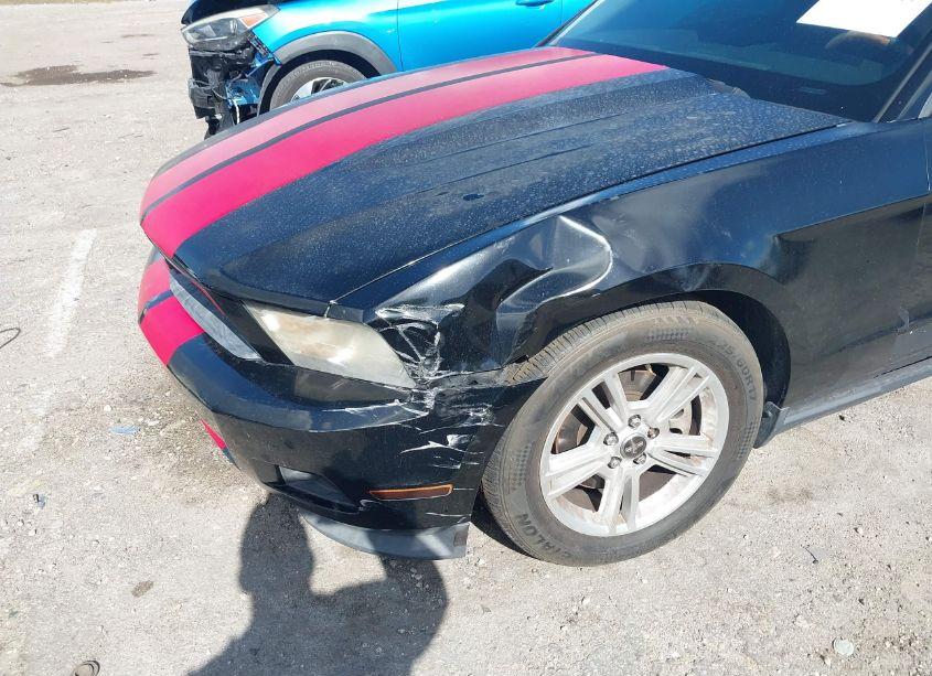 Photo 6 of 2012 Ford Mustang V6 (VIN 1ZVBP8AM0C5258494)