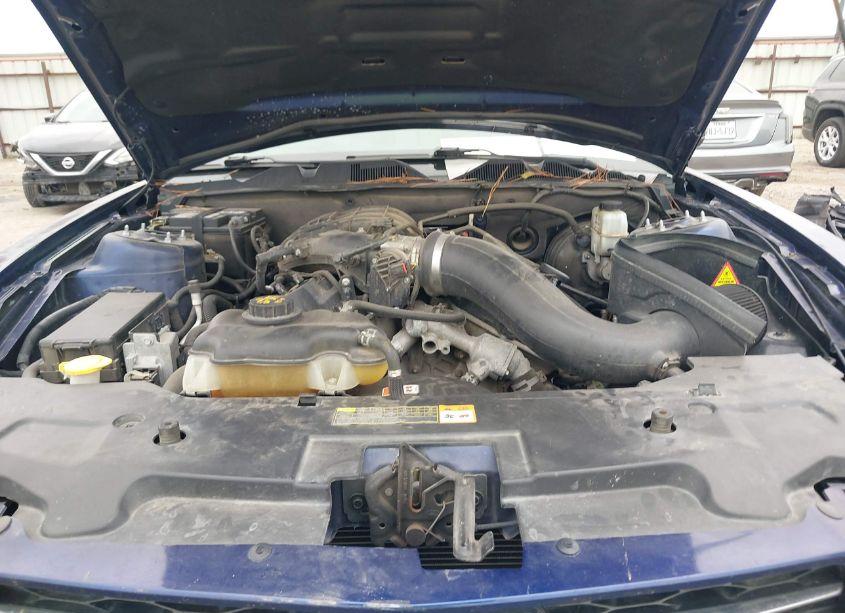 Photo 10 of 2012 Ford Mustang V6 PREMIUM (VIN 1ZVBP8AM0C5264781)