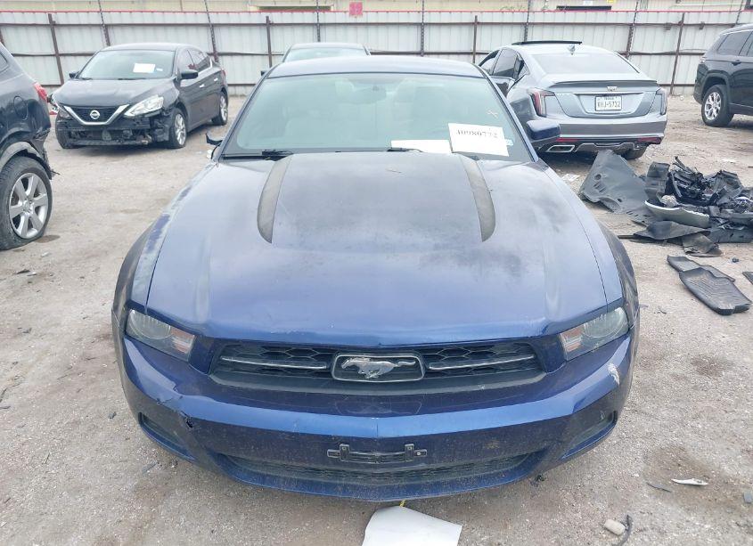 Photo 12 of 2012 Ford Mustang V6 PREMIUM (VIN 1ZVBP8AM0C5264781)