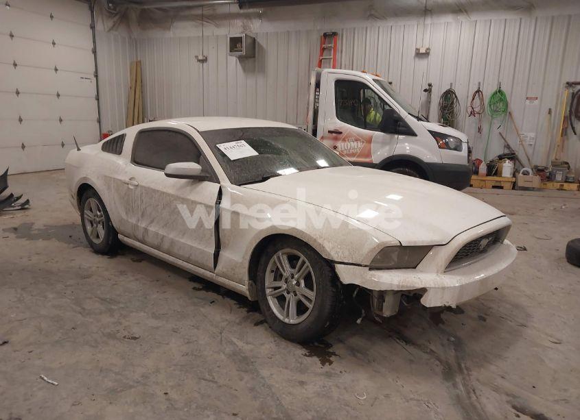 2013 Ford Mustang V6 (VIN 1ZVBP8AM0D5281131) main photo