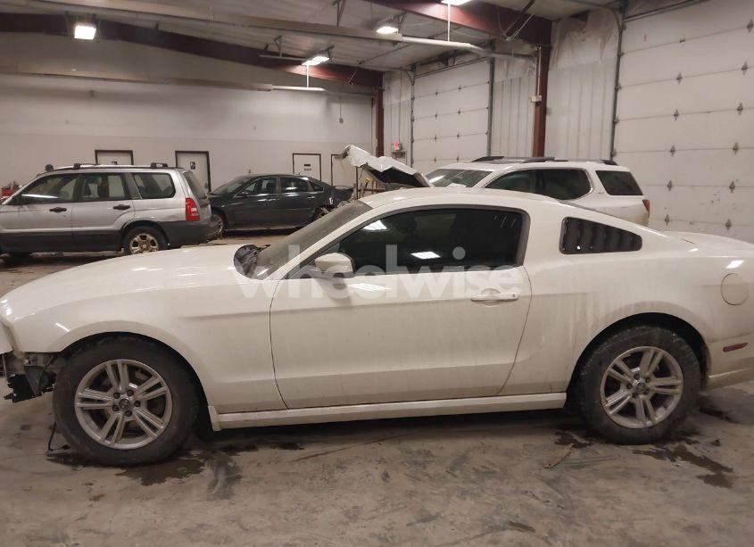 Photo 14 of 2013 Ford Mustang V6 (VIN 1ZVBP8AM0D5281131)