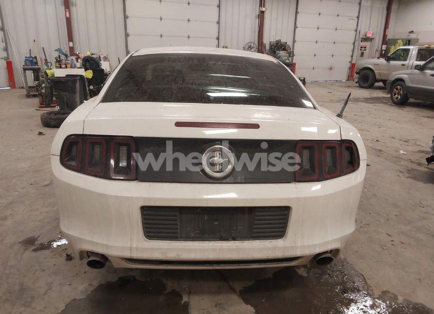 Photo 16 of 2013 Ford Mustang V6 (VIN 1ZVBP8AM0D5281131)