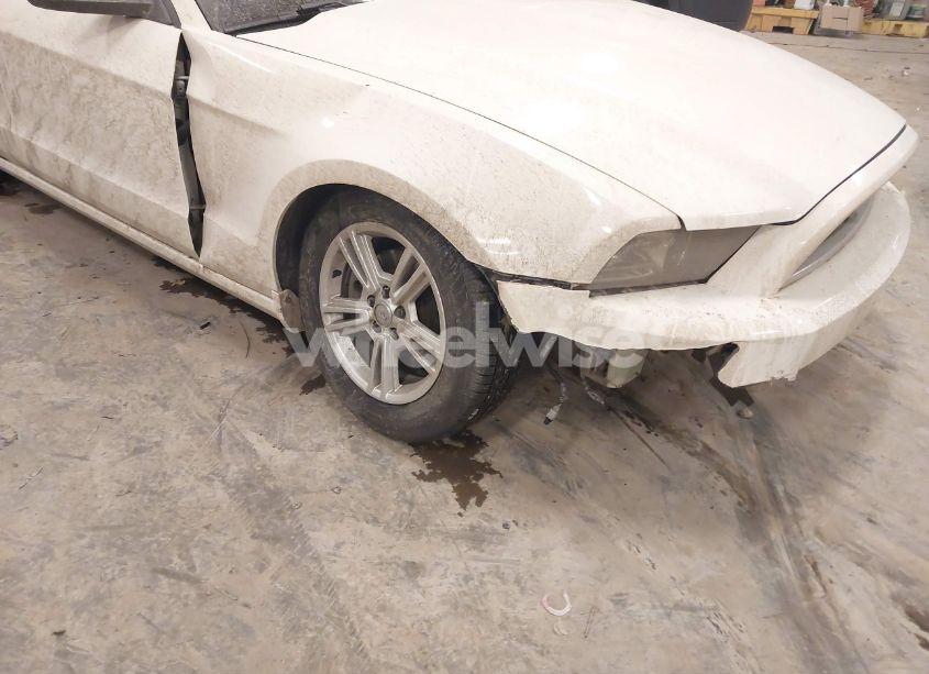 Photo 17 of 2013 Ford Mustang V6 (VIN 1ZVBP8AM0D5281131)